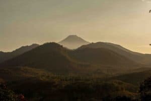 Kertas Kebijakan Hak Kolektif